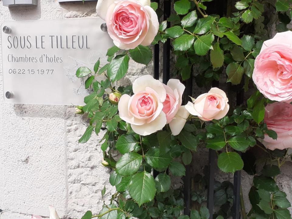 SOUS LE TILLEUL à RUOMS Exterior foto