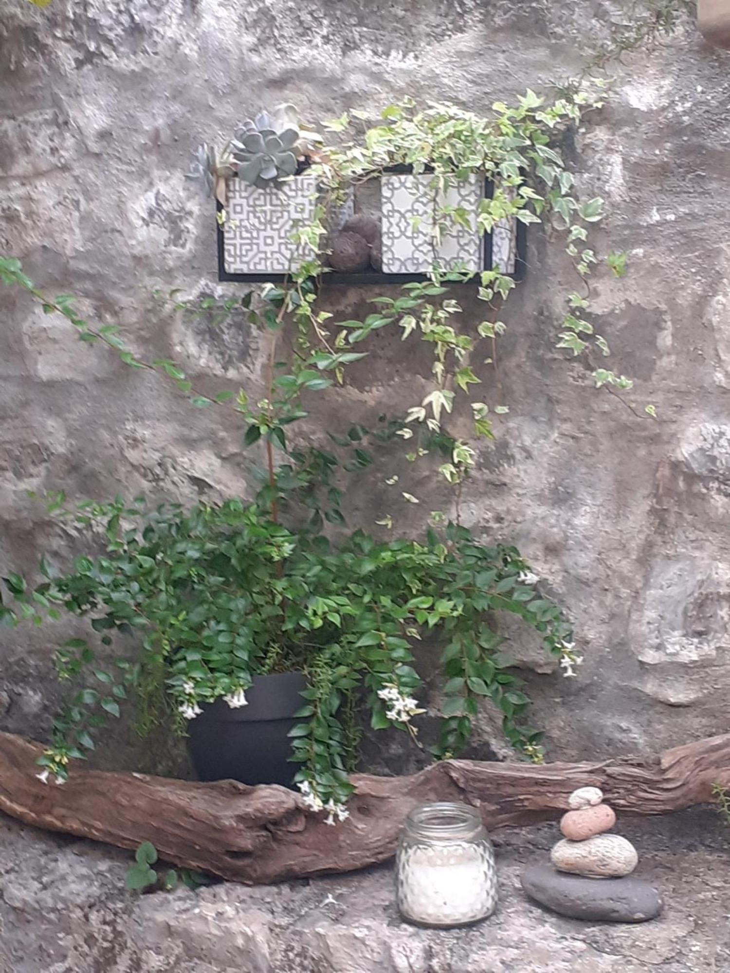 SOUS LE TILLEUL à RUOMS Exterior foto