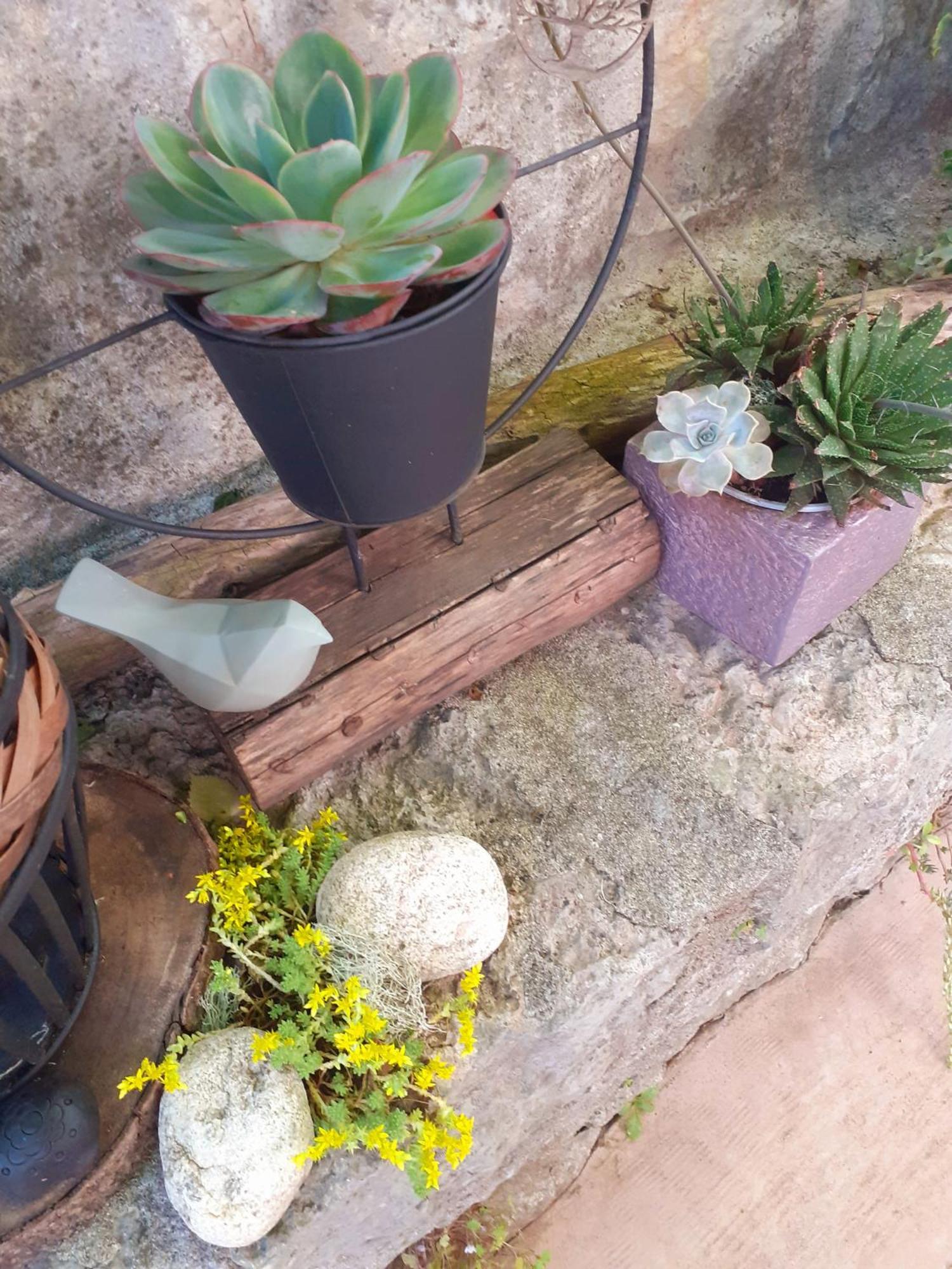 SOUS LE TILLEUL à RUOMS Exterior foto